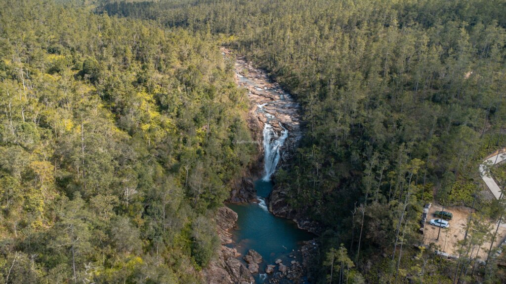 Mountain Pine Ridge Belize: A Hidden Paradise of Adventure, Nature, and Off-Grid Living