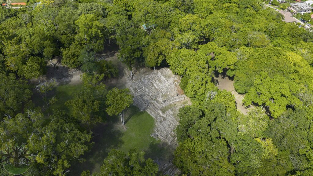 DJI_20251023134620_0020_D