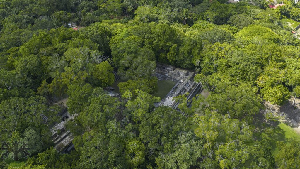 DJI_20251023134623_0021_D