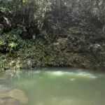 WhatsApp Image 2026-03-19 at 14.25.42